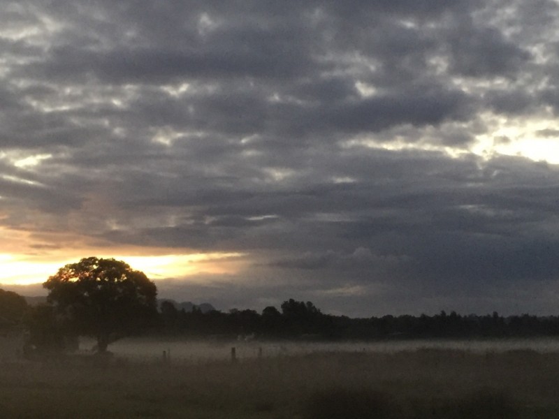 62 Ferguson Street, Cessnock NSW 2325