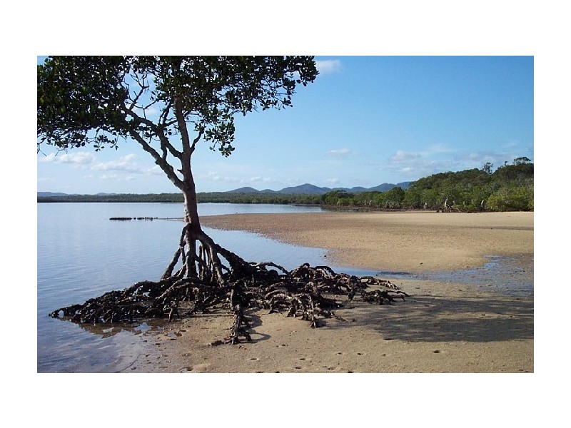 11 BELL STREET, Turkey Beach QLD 4678