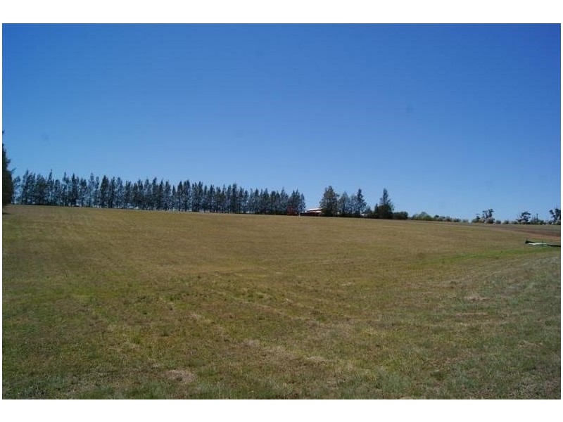 Lot 565 Minimbah road, Whittingham NSW 2330