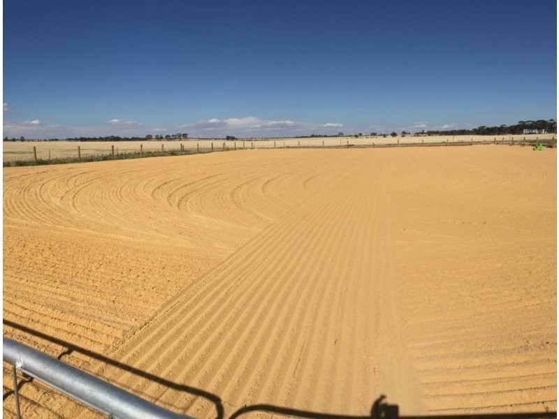 165 Bulls Head Road, Merredin WA 6415