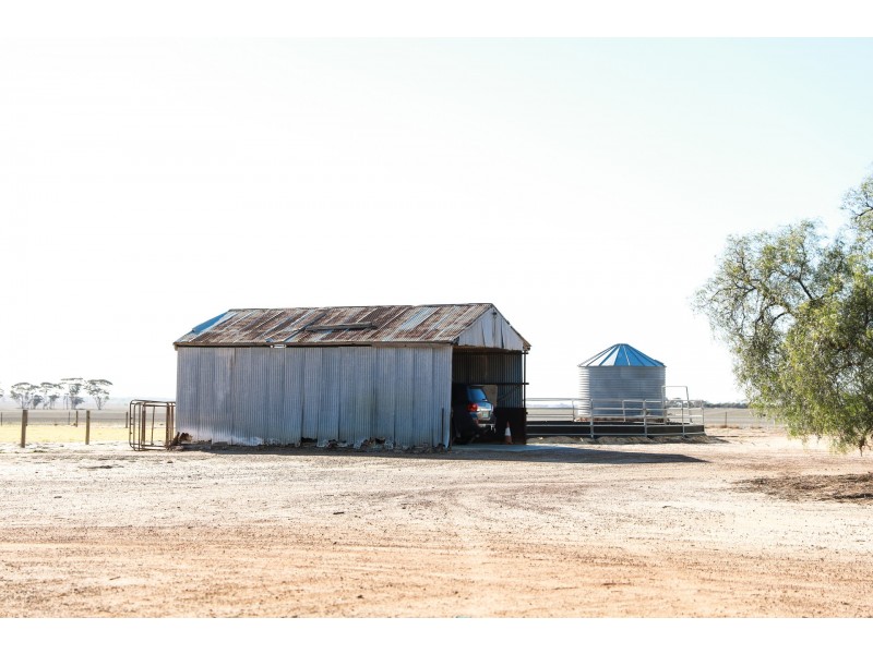 165 Bulls Head Road, Merredin WA 6415