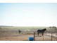 165 Bulls Head Road, Merredin WA 6415