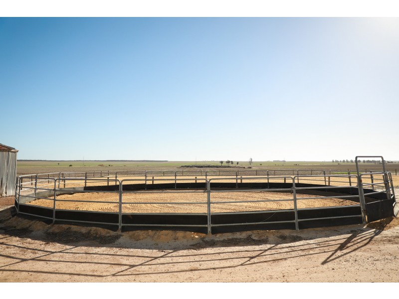 165 Bulls Head Road, Merredin WA 6415