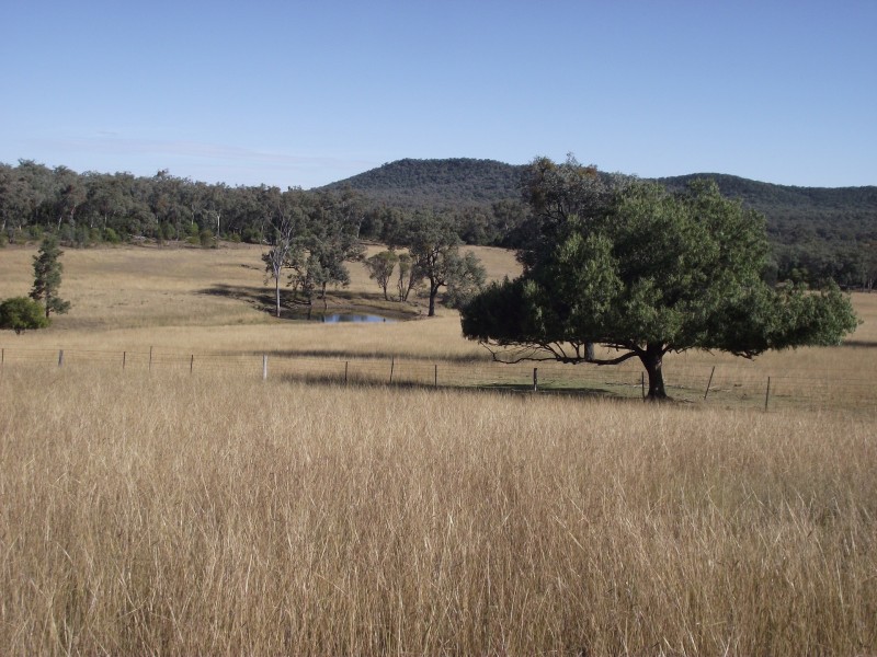 368 Glovers Tea Tree Creek Road, Silver Spur QLD 4385