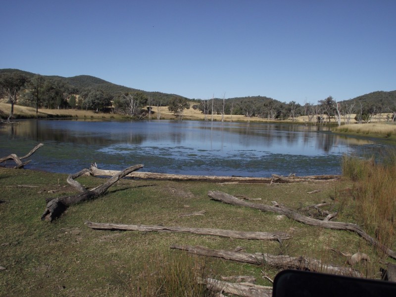 368 Glovers Tea Tree Creek Road, Silver Spur QLD 4385