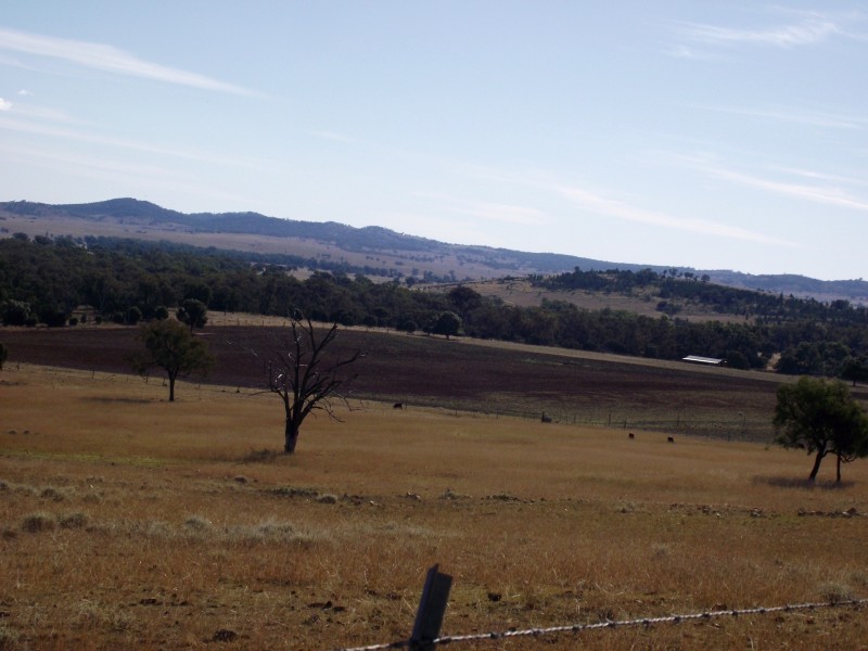 368 Glovers Tea Tree Creek Road, Silver Spur QLD 4385