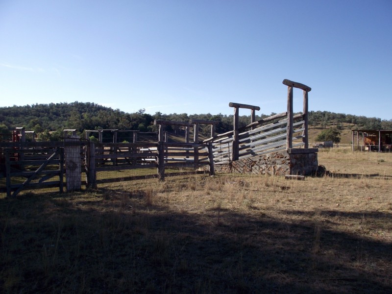 368 Glovers Tea Tree Creek Road, Silver Spur QLD 4385