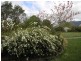127 Moss Vale Road, Kangaroo Valley NSW 2577