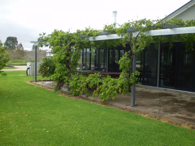 152 Casuarina Drive, Eugowra NSW 2806