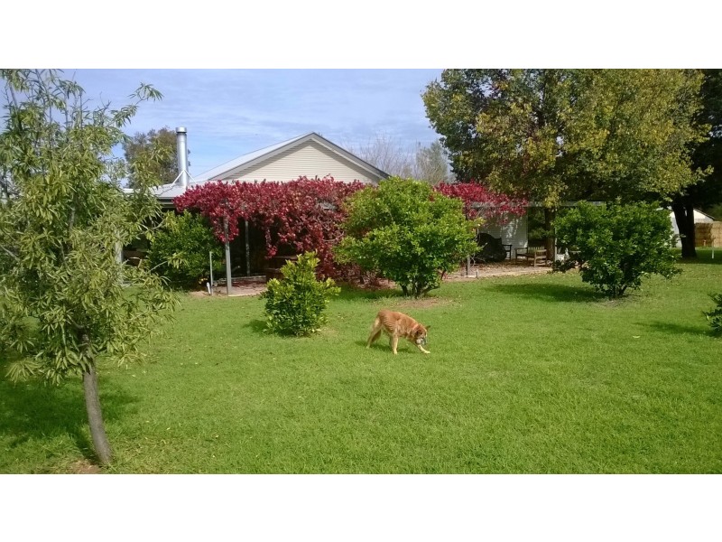 152 Casuarina Drive, Eugowra NSW 2806