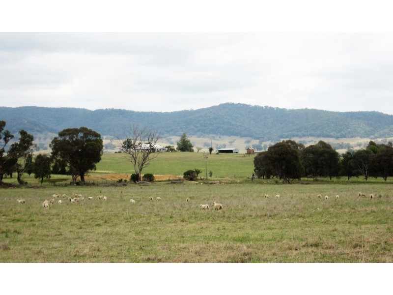 78 Tinja Lane, Putta Bucca NSW 2850