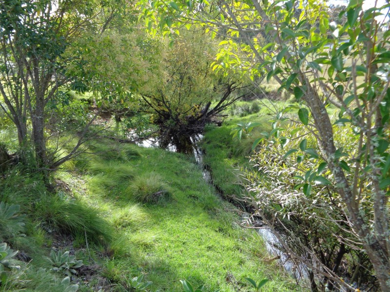 103 Leechs Gully Rd, Tenterfield NSW 2372