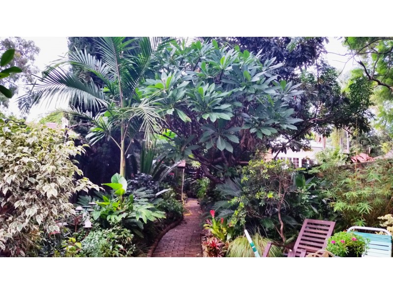 100 The Boulevarde, Dulwich Hill NSW 2203