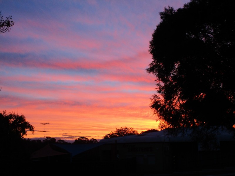 12/21 Lagonda Drive, Ingleburn NSW 2565