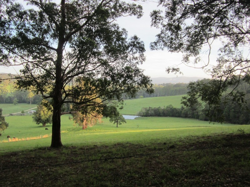 331 Nana Creek Road, Nana Glen NSW 2450