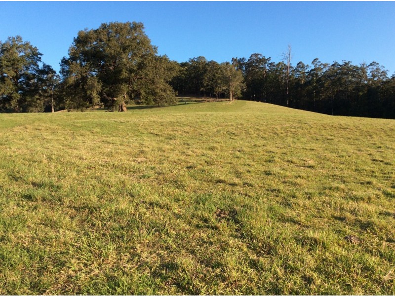 331 Nana Creek Road, Nana Glen NSW 2450