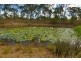 18 Flora Drive, Beecher QLD 4680