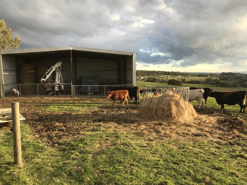 6 Hazelwood Ridge East, Hazelwood North VIC 3840