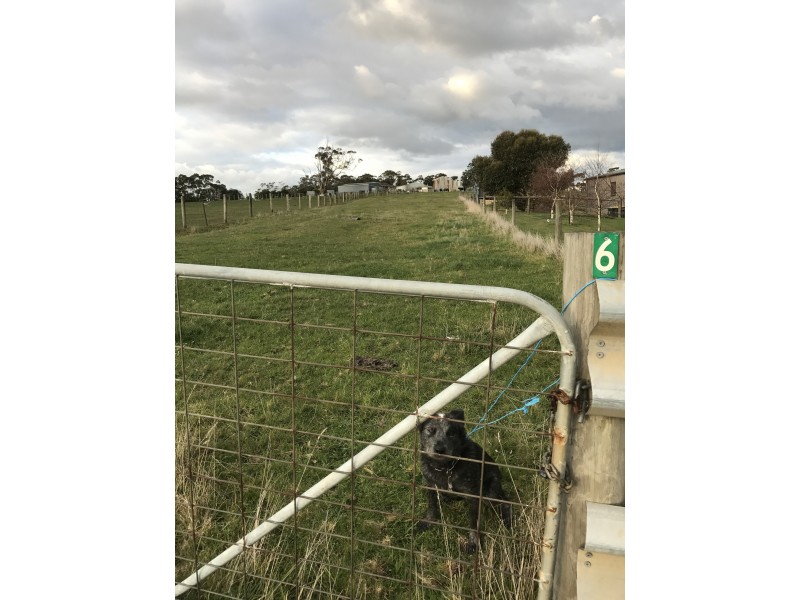 6 Hazelwood Ridge East, Hazelwood North VIC 3840