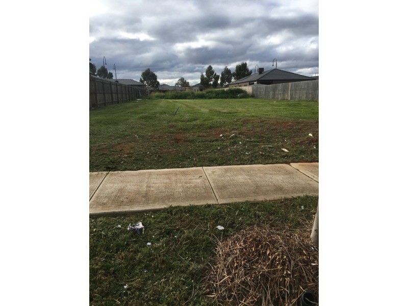 14 Equine Circuit, Melton South VIC 3338