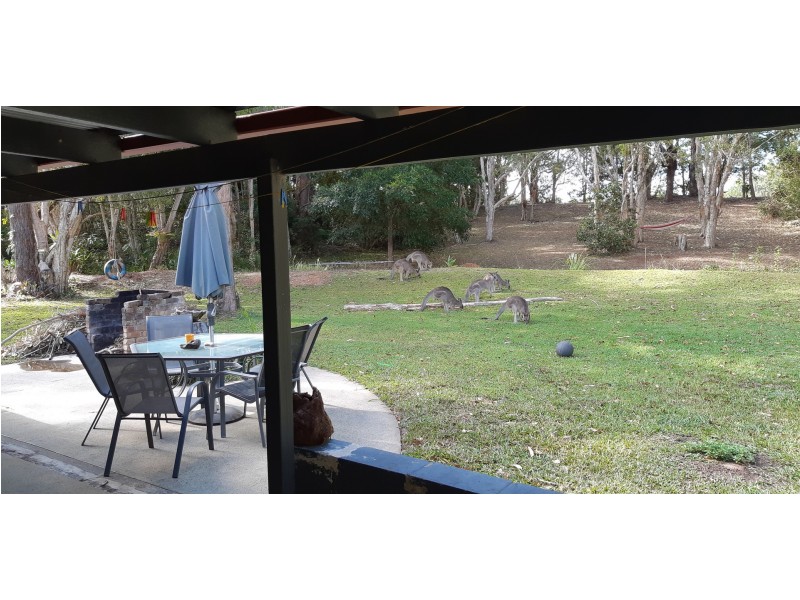 16A/B Lily Pad Lane, Emerald Beach NSW 2456