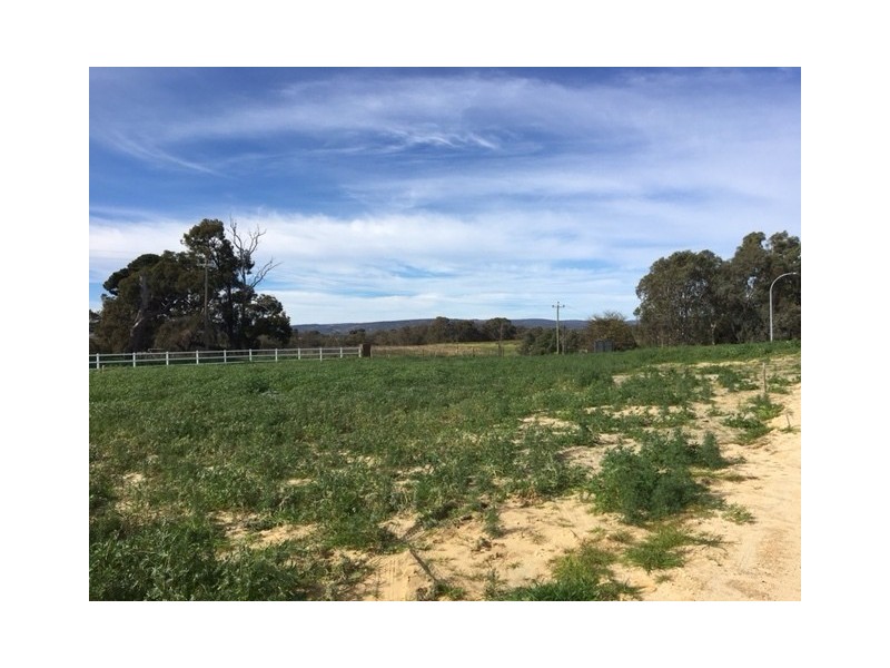 5 Chard Place, Aveley WA 6069