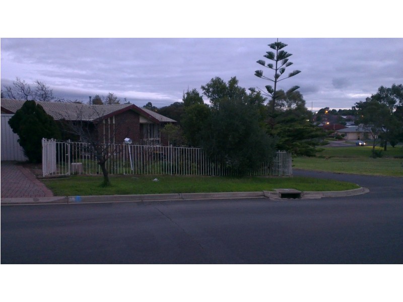 1 Dargie Avenue, Hope Valley SA 5090