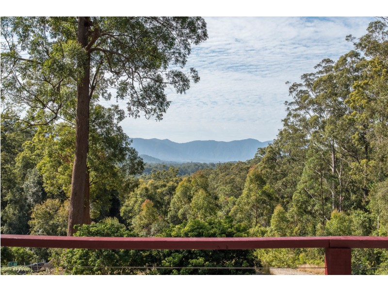 315 Boggy Creek Road, Bellingen NSW 2454