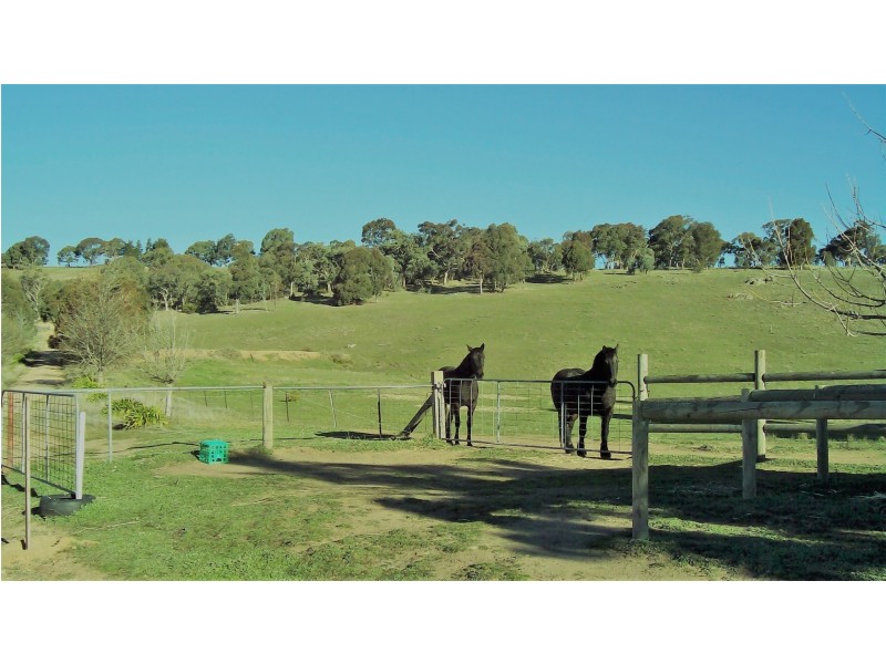 358 Spring Gully Road, Huon Creek VIC 3691