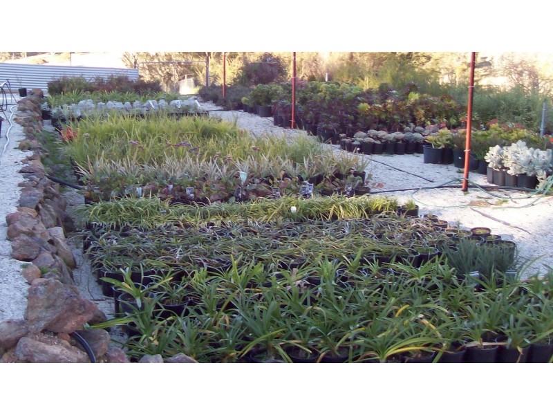 358 Spring Gully Road, Huon Creek VIC 3691