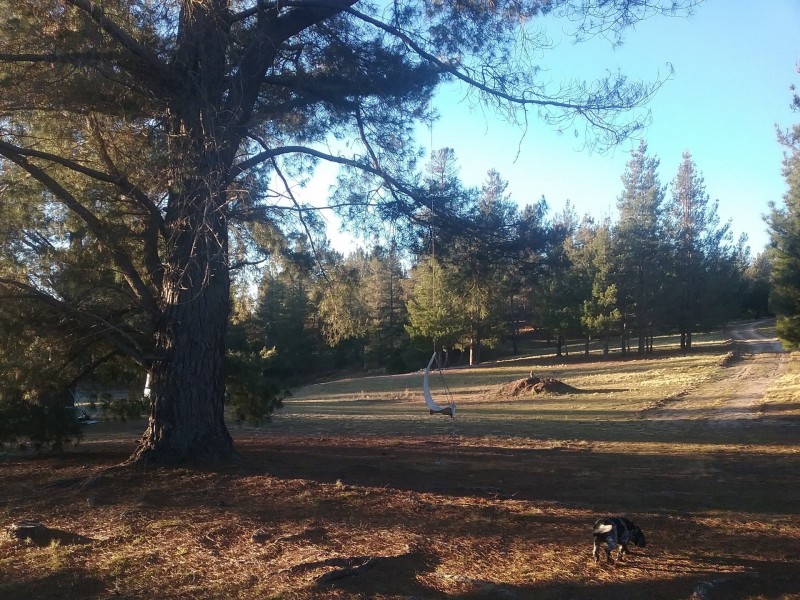 480 Tall Timbers Road, Tomboye NSW 2622