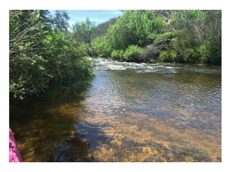 480 Tall Timbers Road, Tomboye NSW 2622