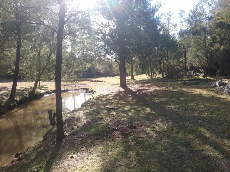 480 Tall Timbers Road, Tomboye NSW 2622