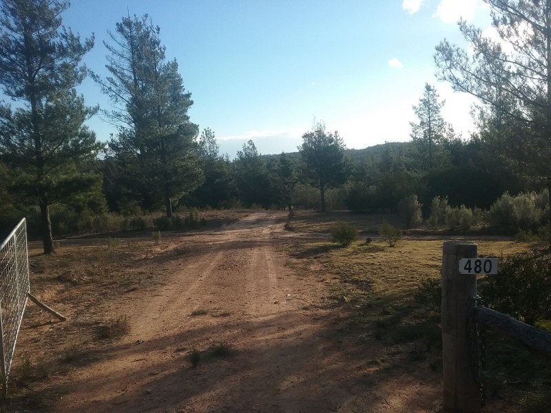 480 Tall Timbers Road, Tomboye NSW 2622