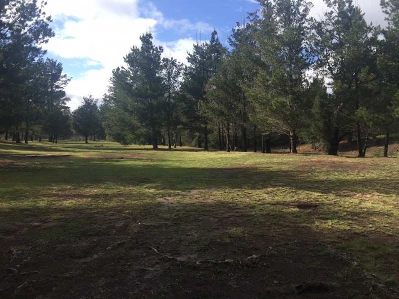 480 Tall Timbers Road, Tomboye NSW 2622