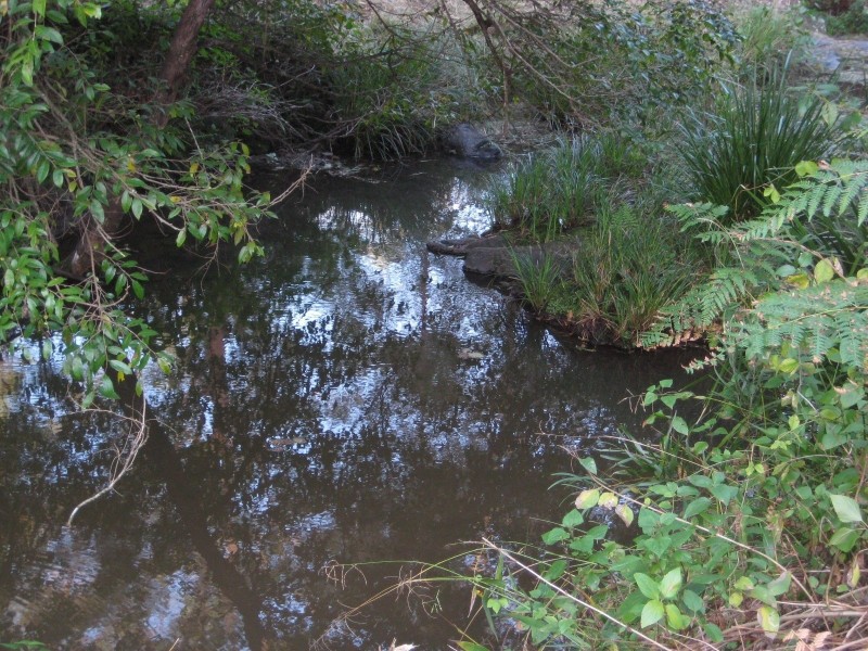 Lot 2 Oxbow Road, Cawongla NSW 2474