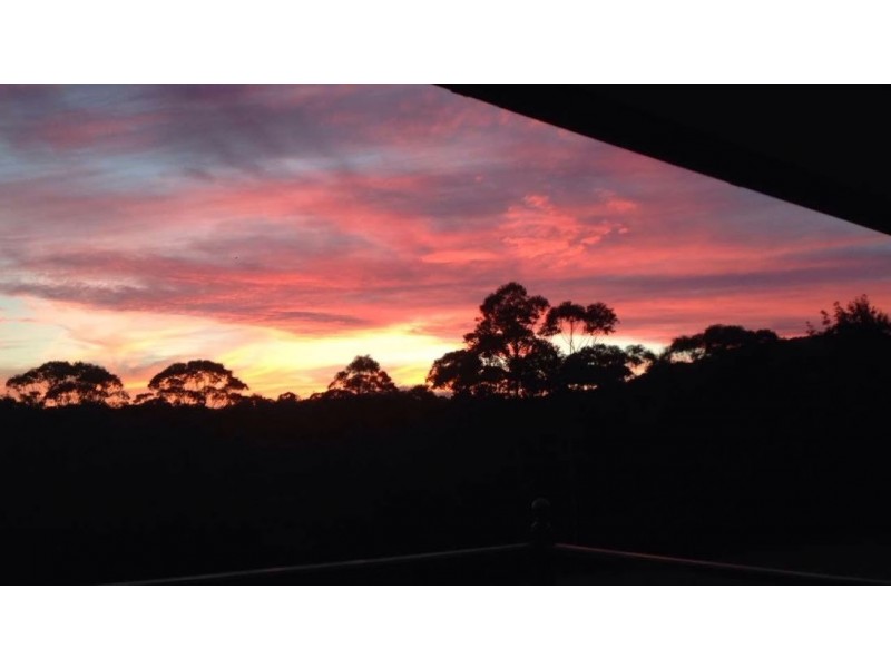 31 Browns Mountain Road, Tapitallee NSW 2540