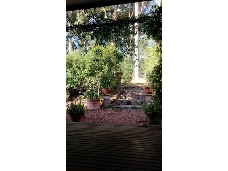 31 Browns Mountain Road, Tapitallee NSW 2540