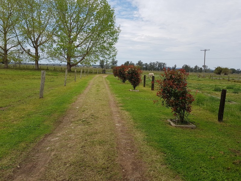 411 South West Rocks Road, Pola Creek NSW 2440