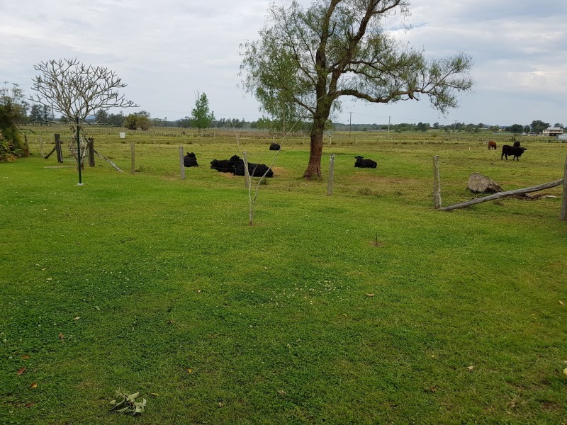 411 South West Rocks Road, Pola Creek NSW 2440