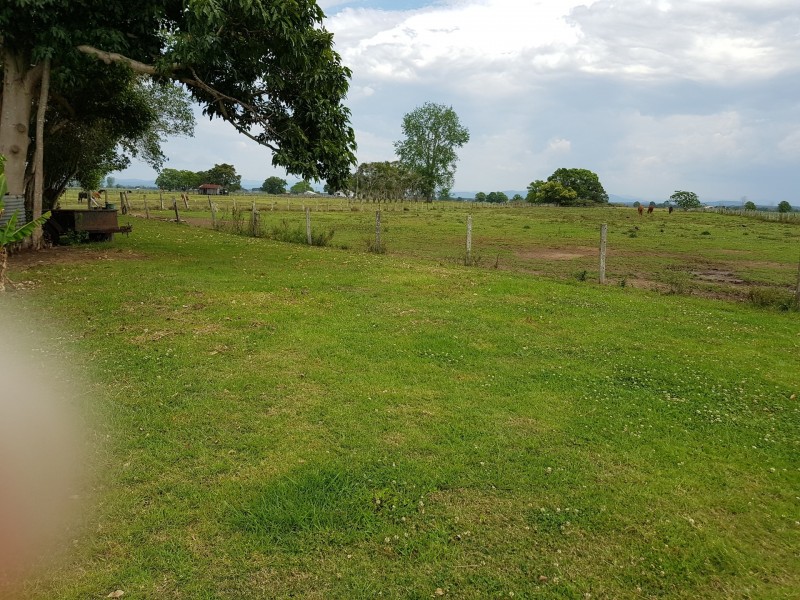 411 South West Rocks Road, Pola Creek NSW 2440