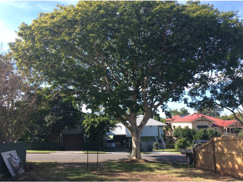 30 Keylar St, Mitchelton QLD 4053