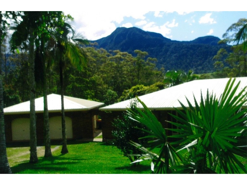 464 Hopkins Creek Road, Hopkins Creek NSW 2484