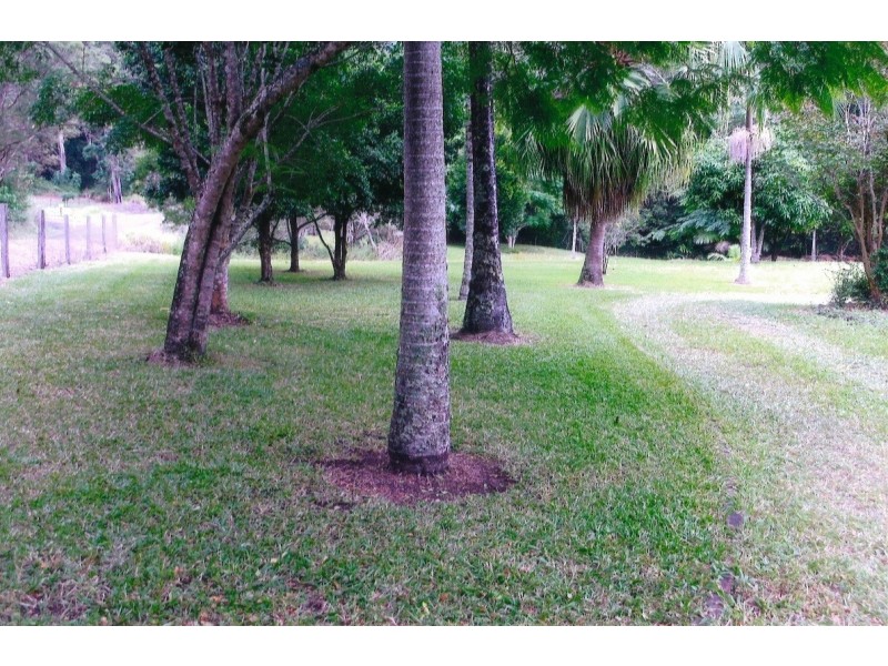 464 Hopkins Creek Road, Hopkins Creek NSW 2484