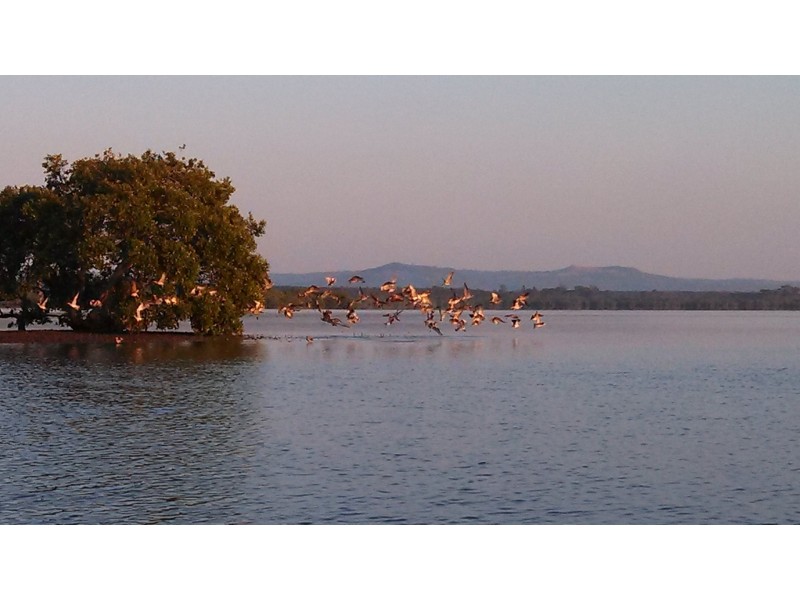 1 Pumicestone Channel, Beerburrum QLD 4517