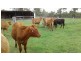 127 Koskies Road, Mutdapilly QLD 4307