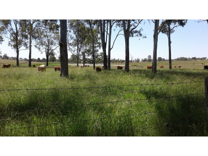 127 Koskies Road, Mutdapilly QLD 4307