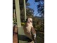 3 Hutton Road, Kiamba QLD 4560