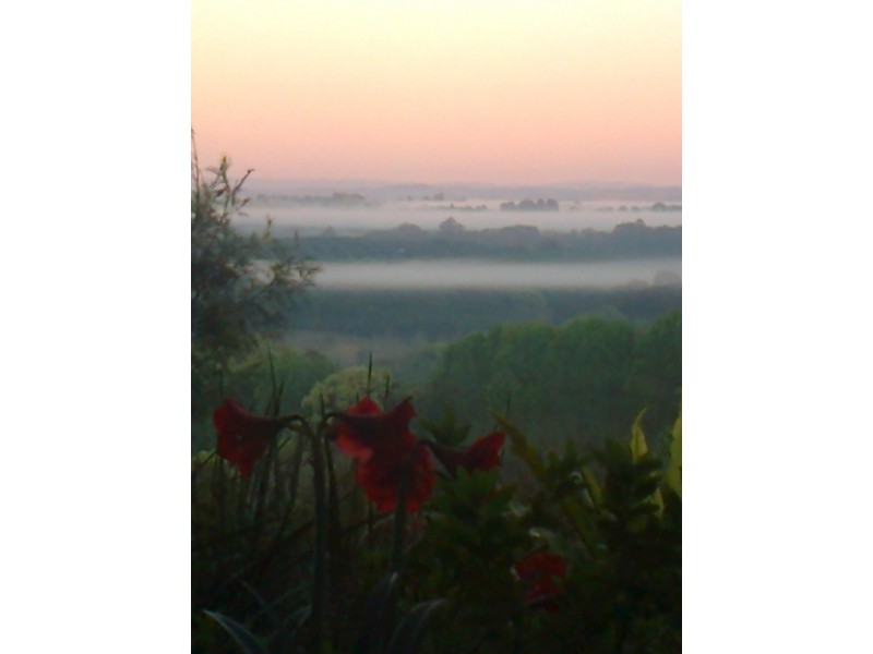 519 Pearces Creek Road, Alstonvale NSW 2477