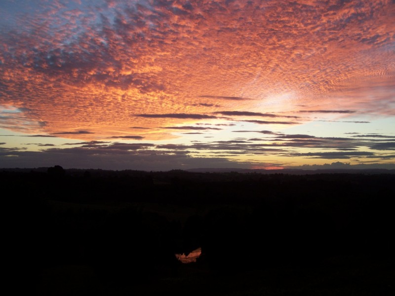 519 Pearces Creek Road, Alstonvale NSW 2477